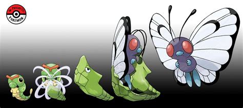 pokemon go caterpie evolution.